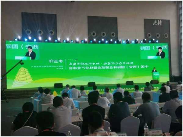 正泰集团徐志武：绿色低碳与数字经济给民营企业带来重大机遇
