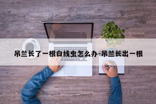 吊兰长了一根白线虫怎么办-吊兰长出一根