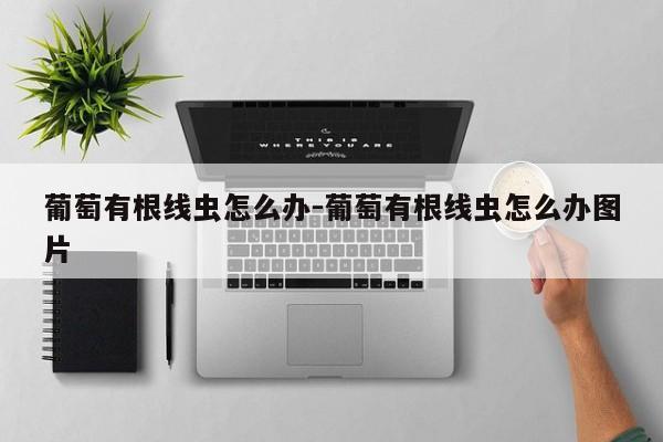葡萄有根线虫怎么办-葡萄有根线虫怎么办图片