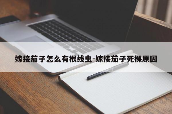 嫁接茄子怎么有根线虫-嫁接茄子死棵原因