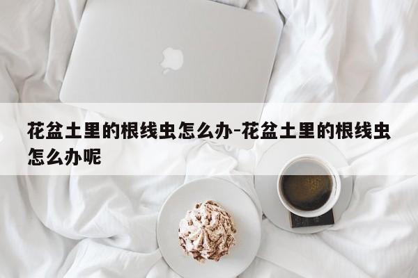 花盆土里的根线虫怎么办-花盆土里的根线虫怎么办呢