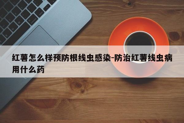 红薯怎么样预防根线虫感染-防治红薯线虫病用什么药