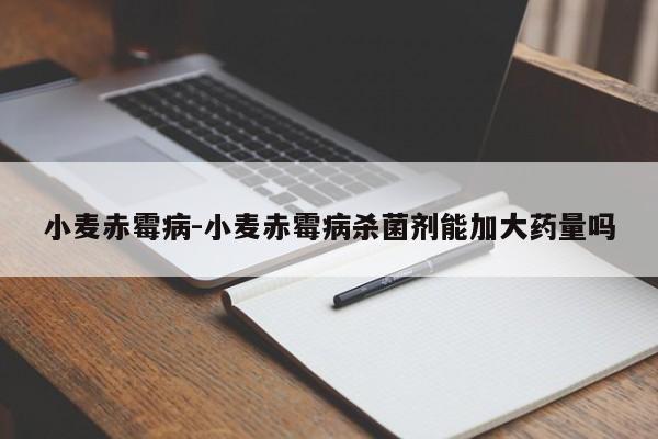 小麦赤霉病-小麦赤霉病杀菌剂能加大药量吗