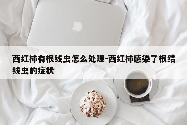 西红柿有根线虫怎么处理-西红柿感染了根结线虫的症状