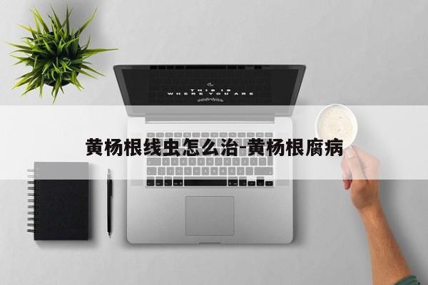 黄杨根线虫怎么治-黄杨根腐病